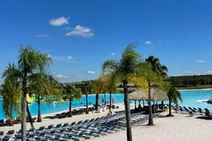 32619 Turtle Grace Loop, Wesley Chapel, FL 33545 - Photo 41