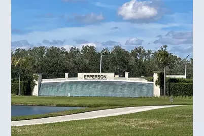 32619 Turtle Grace Loop, Wesley Chapel, FL 33545 - Photo 43