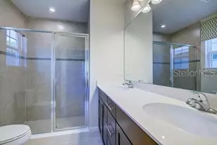 18347 Turning Leaf Cir, Land O Lakes, FL 34638 - Photo 9