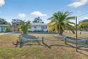 905 Patricia Ave, Dunedin, FL 34698 - Photo 53