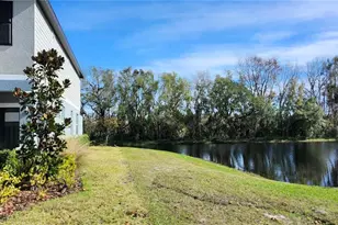 6024 Shiner St, Land O Lakes, FL 34638 - Photo 49