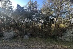 3908 W Tropic Ln, Dunnellon, FL 34433 - Photo 1