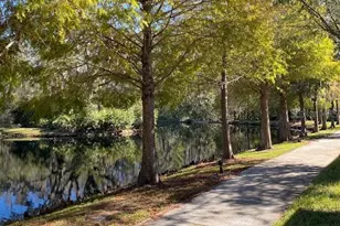 13815 River Fish Ct, Tampa, FL 33637 - Photo 9