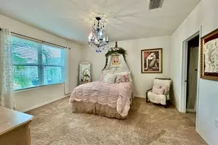 10214 Mangrove Well Rd, Sun City Center, FL 33573 - Photo 21