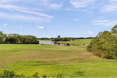 1031 Emerald Hill Way, Valrico, FL 33594 - Photo 71