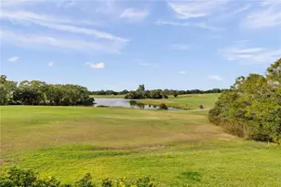 1031 Emerald Hill Way, Valrico, FL 33594 - Photo 71