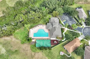 1031 Emerald Hill Way, Valrico, FL 33594 - Photo 59