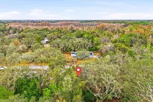 12022 Bethwood Ave, New Port Richey, FL 34654 - Photo 39