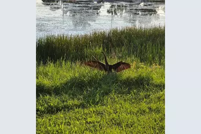 4821 72nd Avenue N, Pinellas Park, FL 33781 - Photo 41