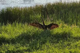 4821 72nd Ave N, Pinellas Park, FL 33781 - Photo 41