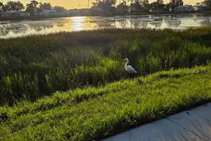 4821 72nd Ave N, Pinellas Park, FL 33781 - Photo 39