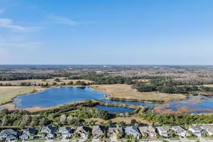 8429 Eagle Brook Dr, Land O Lakes, FL 34638 - Photo 43