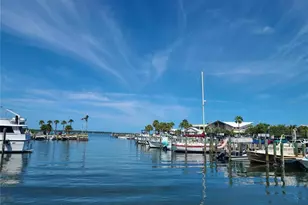 917 Michele Cir, Dunedin, FL 34698 - Photo 39