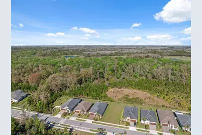 16787 Shell Bay Dr, Land O Lakes, FL 34638 - Photo 37