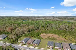 16787 Shell Bay Dr, Land O Lakes, FL 34638 - Photo 37