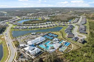 16787 Shell Bay Dr, Land O Lakes, FL 34638 - Photo 47