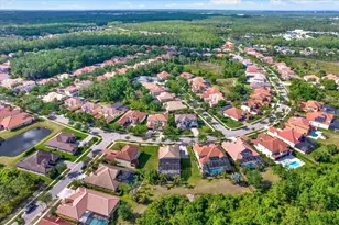 20104 Pond Spring Way, Tampa, FL 33647 - Photo 51