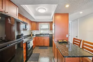 9 Haig Pl, Dunedin, FL 34698 - Photo 9