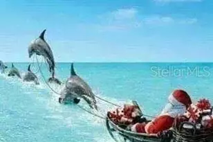 1230 Gulf Blvd, Clearwater Beach, FL 33767 - Photo 65