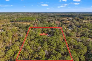 3247 Saturn Rd, Brooksville, FL 34604 - Photo 31