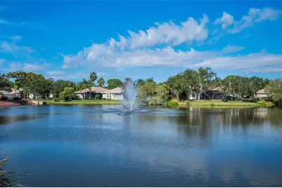 4729 Pebble Brook Drive, Oldsmar, FL 34677 - Photo 41