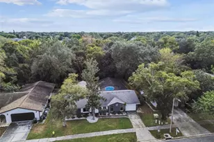 49 Valencia Cir, Safety Harbor, FL 34695 - Photo 61