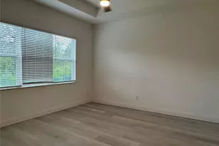 30788 Lindentree Dr, Wesley Chapel, FL 33543 - Photo 19