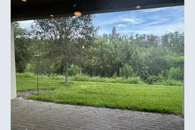 30788 Lindentree Drive, Wesley Chapel, FL 33543 - Photo 37