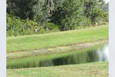 15518 Miller Creek Drive, Sun City Center, FL 33573 - Photo 19