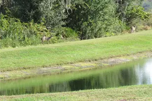 15518 Miller Creek Dr, Sun City Center, FL 33573 - Photo 19