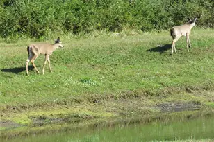 15518 Miller Creek Dr, Sun City Center, FL 33573 - Photo 17