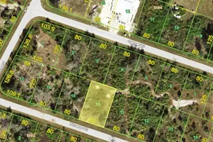 12356 Picasso St, Port Charlotte, FL 33981 - Photo 1