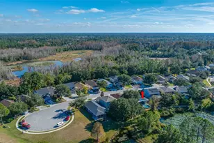 21351 Morning Mist Way, Land O Lakes, FL 34637 - Photo 67