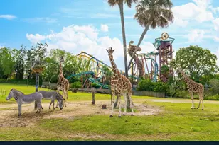 8201 US Hwy 98 N, Lakeland, FL 33809 - Photo 11