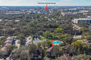 14419 Hanging Moss Cir, Tampa, FL 33613 - Photo 13