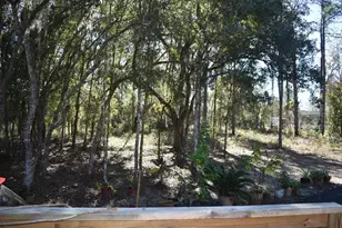 13230 NE 9th St, Williston, FL 32696 - Photo 35