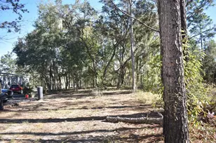 13230 NE 9th St, Williston, FL 32696 - Photo 65