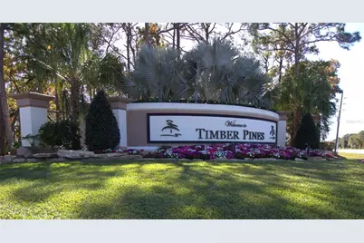 2113 Springmeadow Drive, Spring Hill, FL 34606 - Photo 39