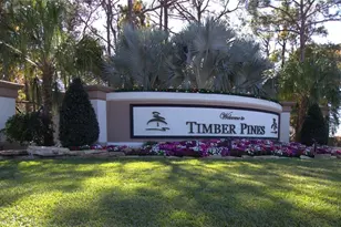 2113 Springmeadow Dr, Spring Hill, FL 34606 - Photo 39