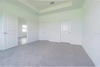 31423 Paper Birch Street, Wesley Chapel, FL 33545 - Photo 15