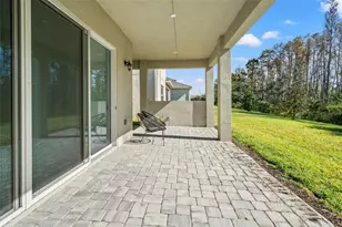 32208 Rosewood Meadow Ln, Wesley Chapel, FL 33543 - Photo 27
