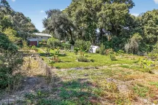 5841 SE 164 Ave, Ocklawaha, FL 32179 - Photo 21