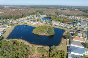 31203 Hannigan Pl, Wesley Chapel, FL 33543 - Photo 7