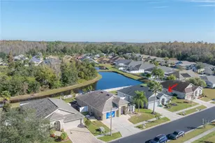 31203 Hannigan Pl, Wesley Chapel, FL 33543 - Photo 5
