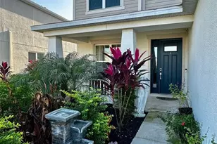 33805 Astoria Cir, Wesley Chapel, FL 33545 - Photo 3