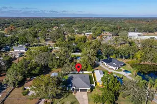 3211 Moran Rd, Tampa, FL 33618 - Photo 69