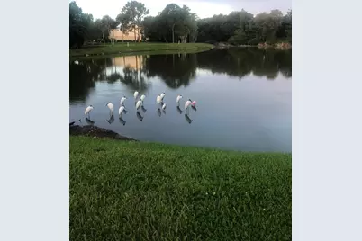 4129 Northmeadow Circle, Tampa, FL 33618 - Photo 59