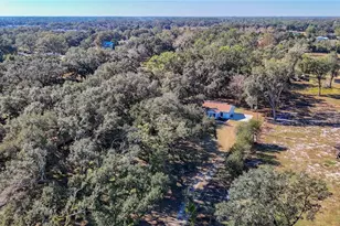 3551 Oakwood Dr, Wesley Chapel, FL 33543 - Photo 57