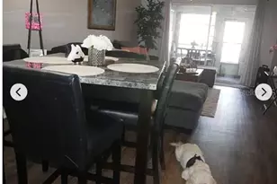 4230 Richmere Dr, New Port Richey, FL 34652 - Photo 9