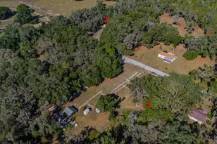 415 Hal Colding Rd, Lithia, FL 33547 - Photo 19